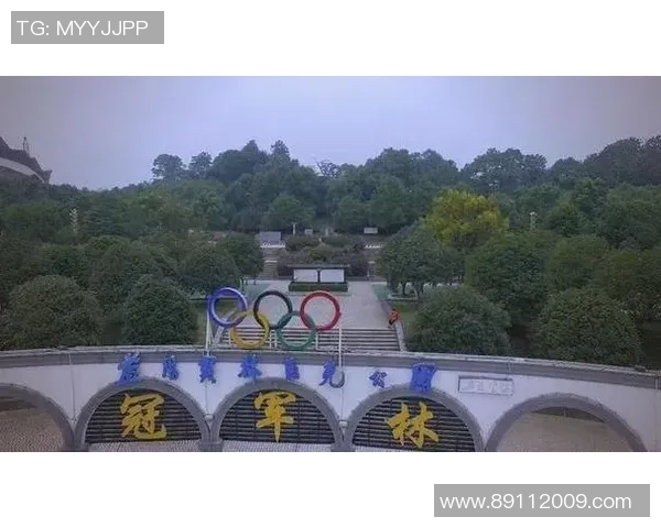 广州羽毛球队阵地战革新探索与实践的深度分析与展望